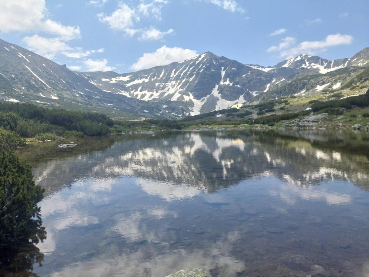 Klepalski - Mountain Studio 보로베츠 외부 사진